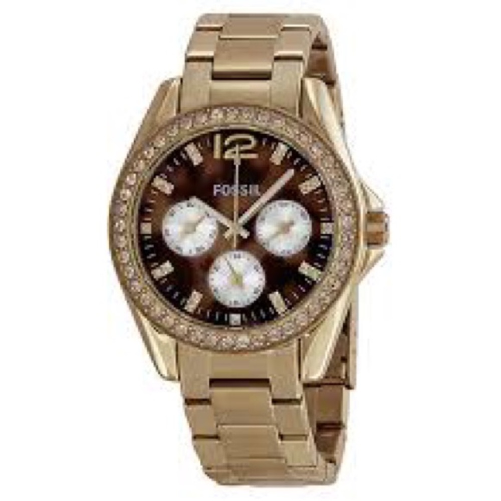 Fossil Tortoise and Gold Watch